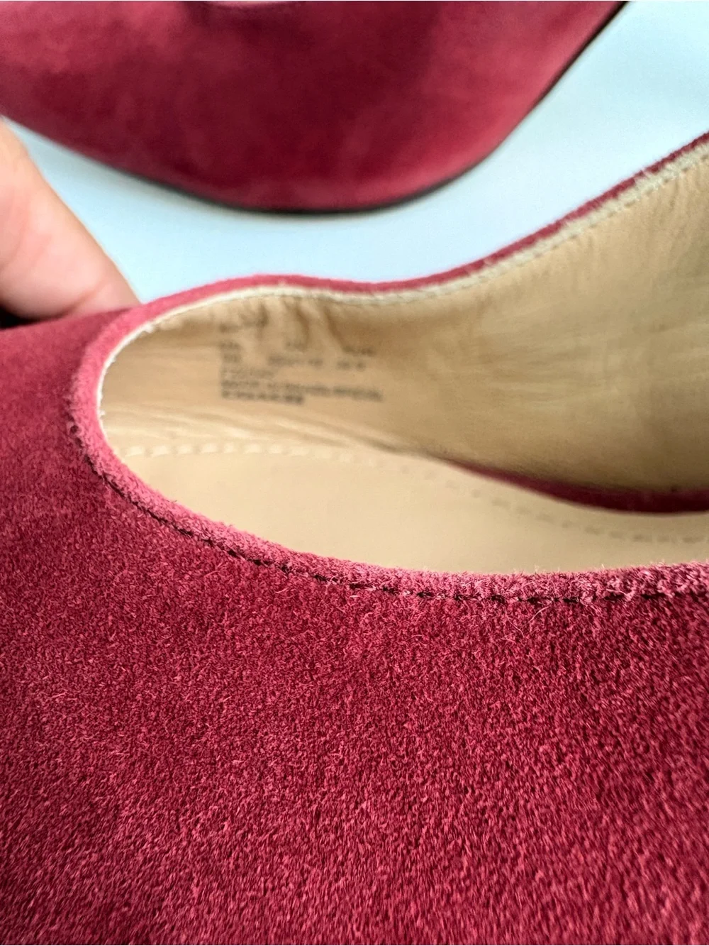 Coach size raspberry